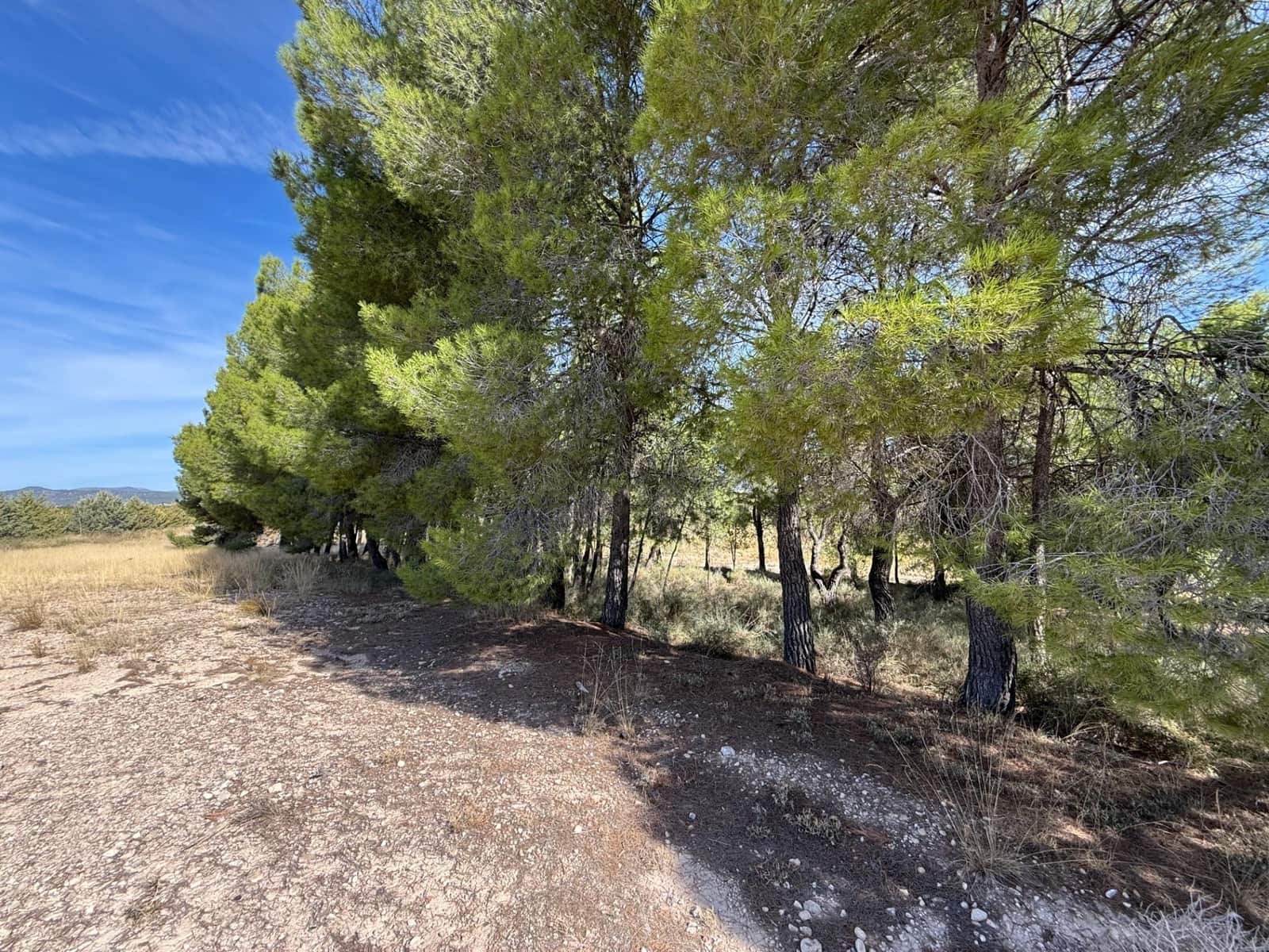 Tomt till salu i Barranda - 149 000 € (Ref: 9206658)