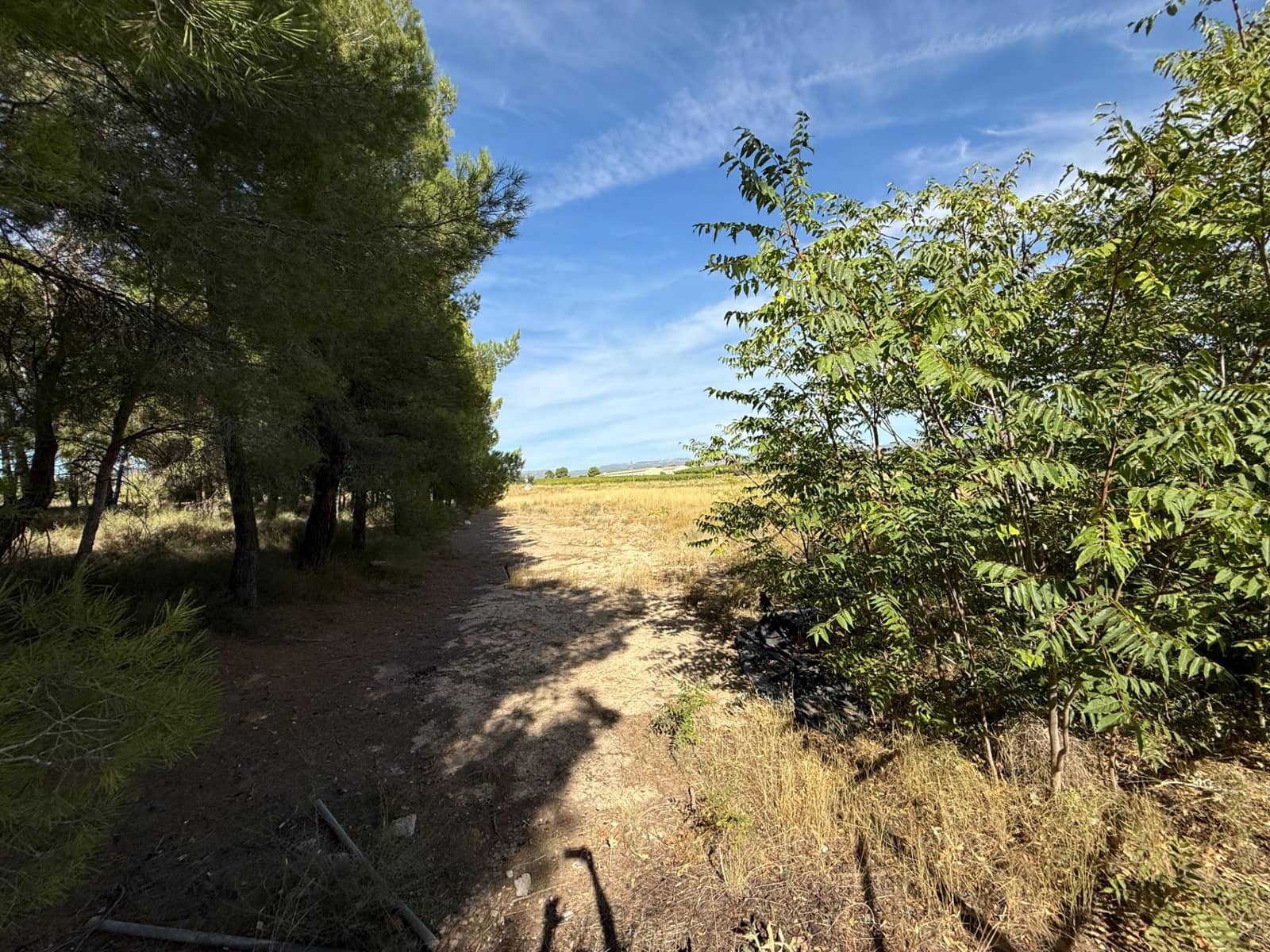 Tomt till salu i Barranda - 149 000 € (Ref: 9206658)