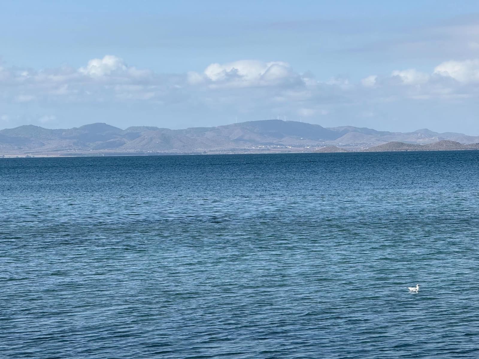 2 camera da letto Appartamento da affittare in La Manga del Mar Menor con piscina - 750 € (Rif: 9215255)