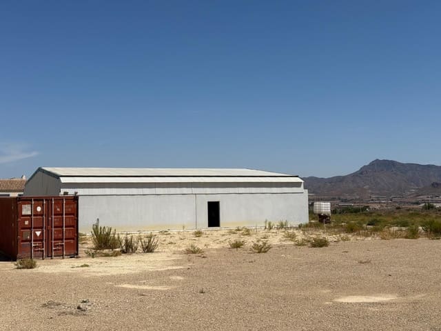 Bedrift til salgs i Mazarrón - € 199 000 (Ref: 9226916)