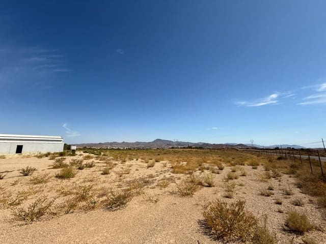 Bedrift til salgs i Mazarrón - € 199 000 (Ref: 9226916)