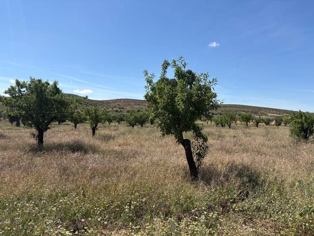 Grunde uden byggetilladelser til salg i La Alqueria, Jumilla - € 58.000 (Ref: 9297524)
