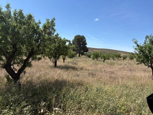 Grunde uden byggetilladelser til salg i La Alqueria, Jumilla - € 58.000 (Ref: 9297524)
