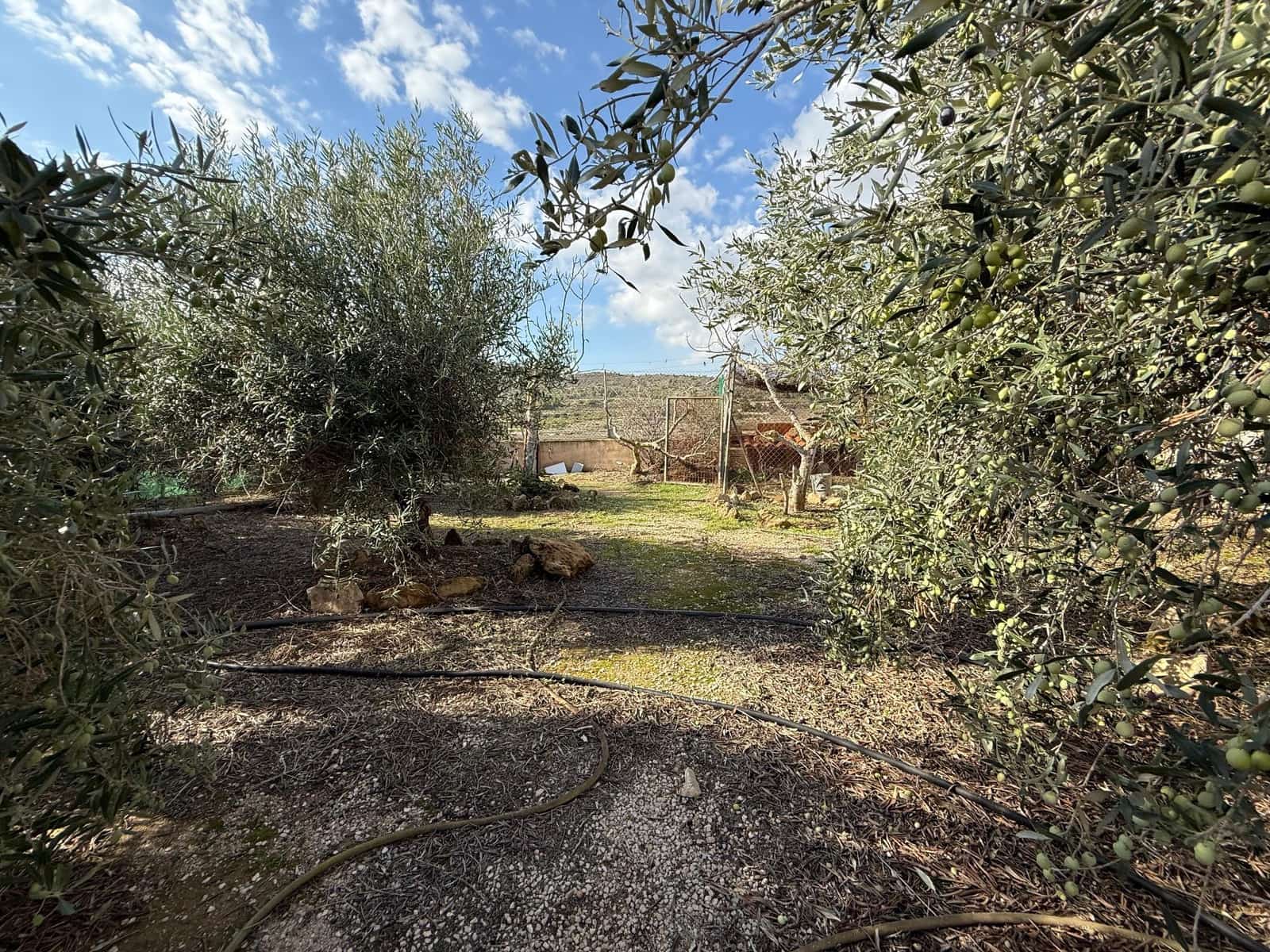 4 soverom Finca/Herregård til salgs i Gea y Truyols med svømmebasseng garasje - € 195 000 (Ref: 9326650)