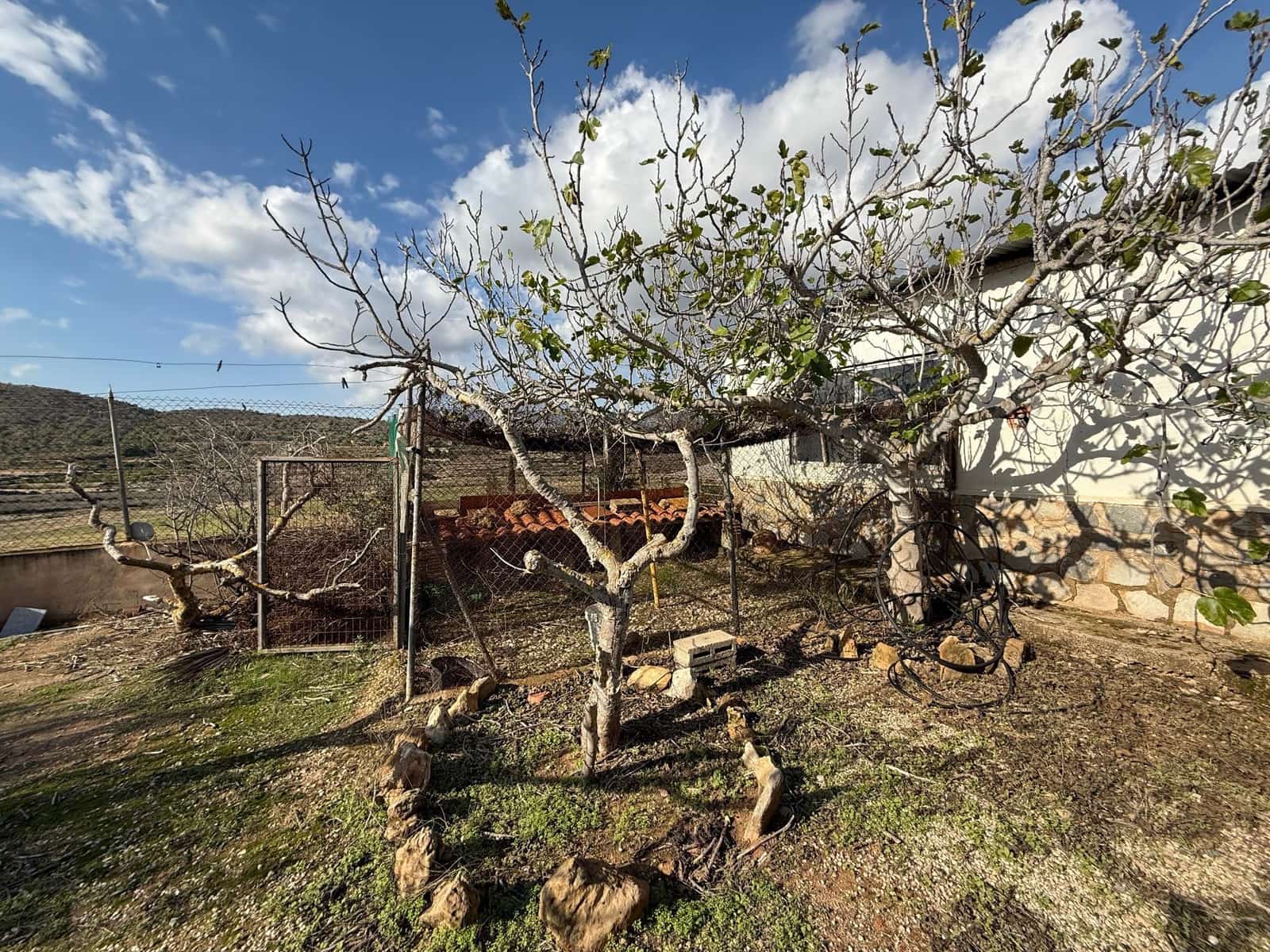 4 soverom Finca/Herregård til salgs i Gea y Truyols med svømmebasseng garasje - € 195 000 (Ref: 9326650)