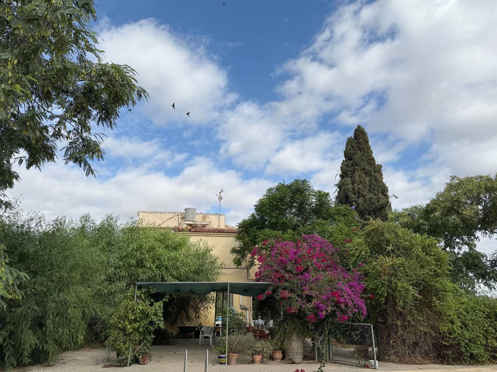 6 soverom Finca/Herregård til salgs i Murcia by med svømmebasseng - € 340 000 (Ref: 9359450)