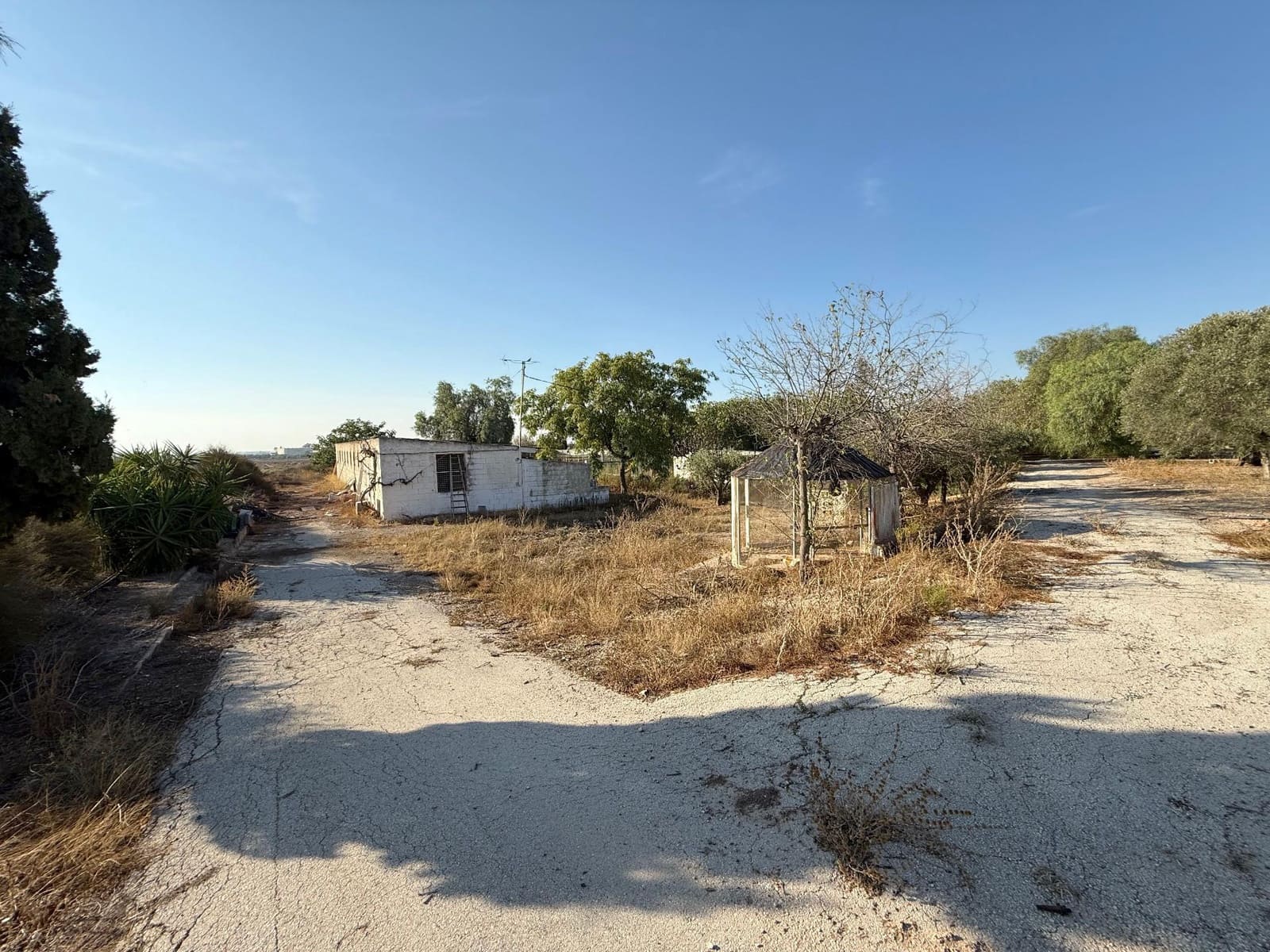 6 soverom Finca/Herregård til salgs i Murcia by med svømmebasseng - € 340 000 (Ref: 9359450)