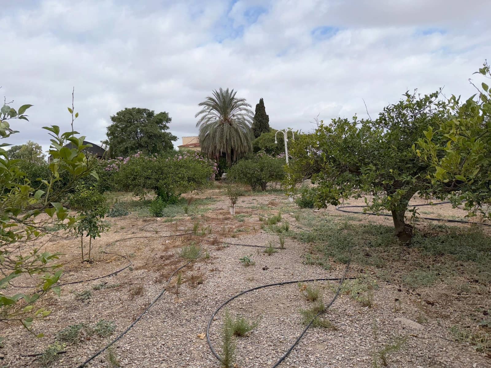 6 soverom Finca/Herregård til salgs i Murcia by med svømmebasseng - € 340 000 (Ref: 9359450)