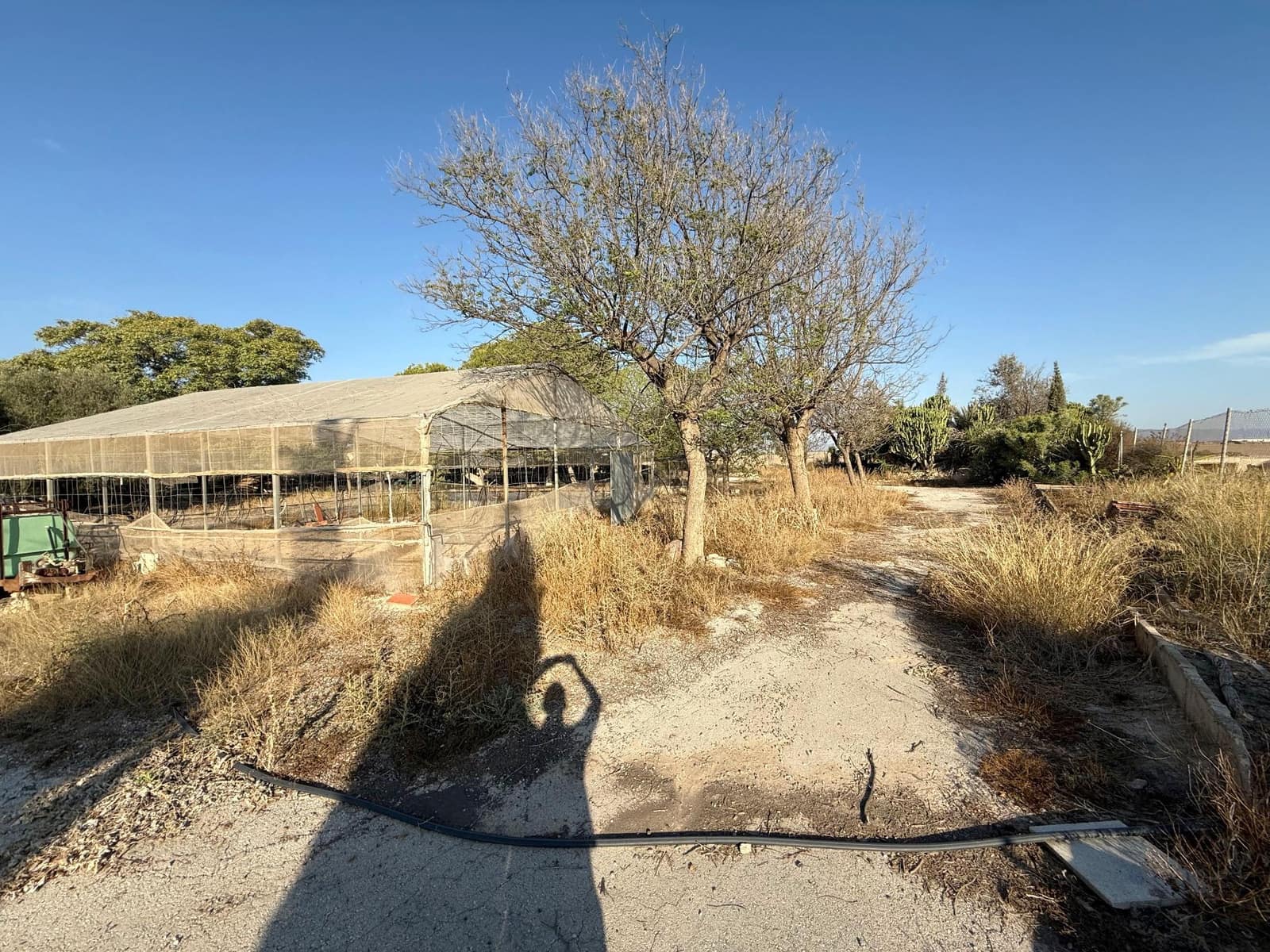 6 soverom Finca/Herregård til salgs i Murcia by med svømmebasseng - € 340 000 (Ref: 9359450)