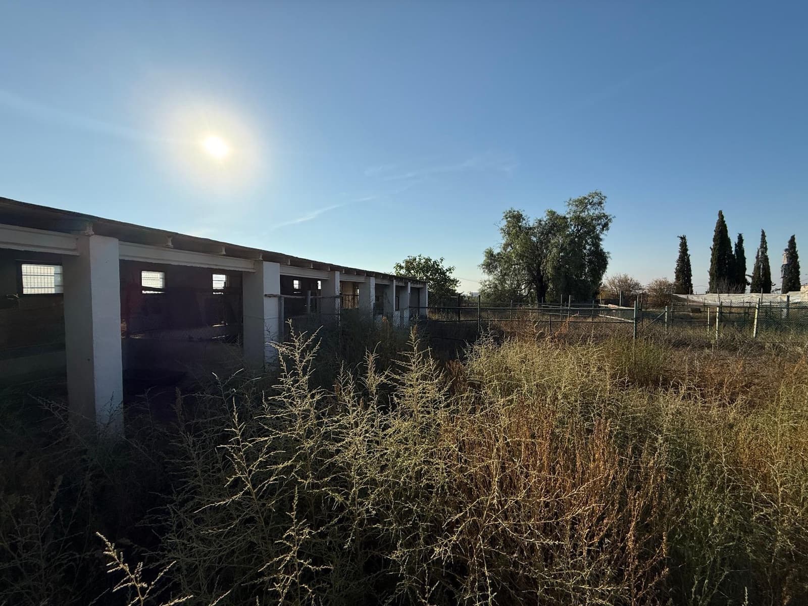 6 soverom Finca/Herregård til salgs i Murcia by med svømmebasseng - € 340 000 (Ref: 9359450)