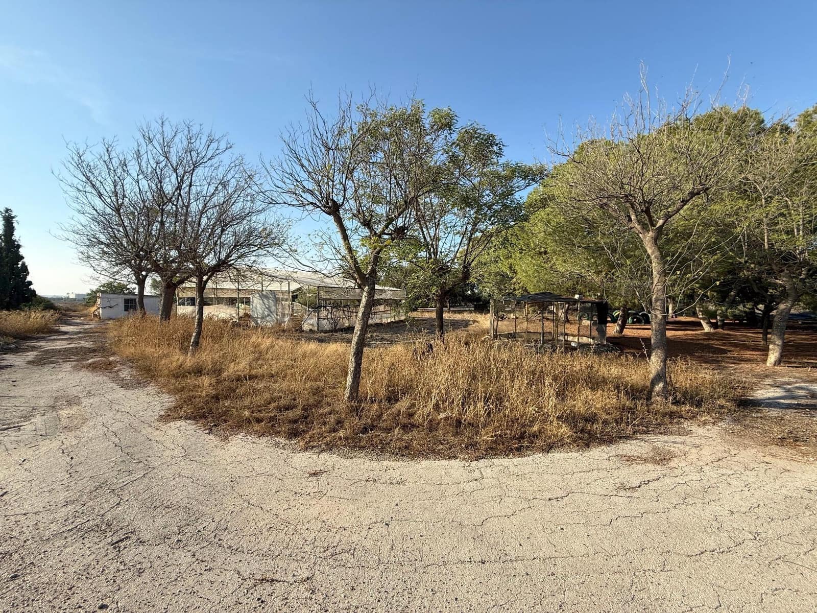 6 soverom Finca/Herregård til salgs i Murcia by med svømmebasseng - € 340 000 (Ref: 9359450)