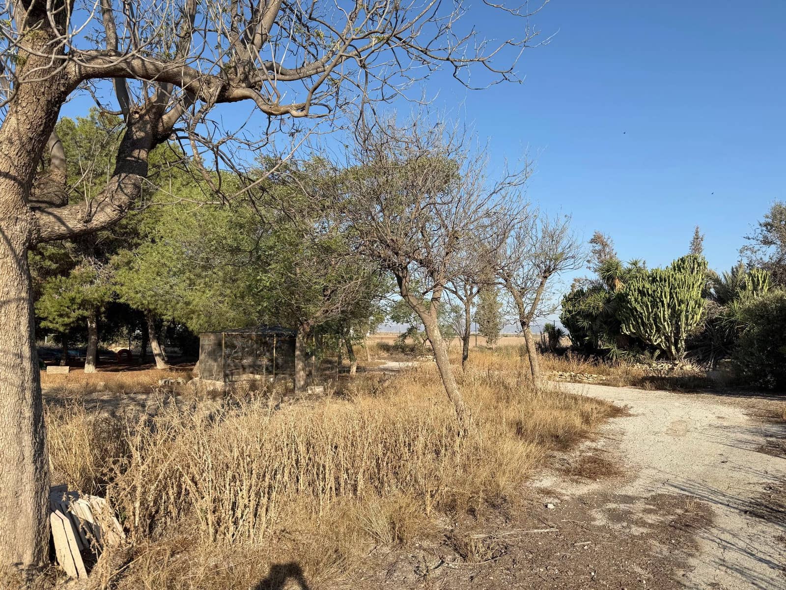 6 soverom Finca/Herregård til salgs i Murcia by med svømmebasseng - € 340 000 (Ref: 9359450)