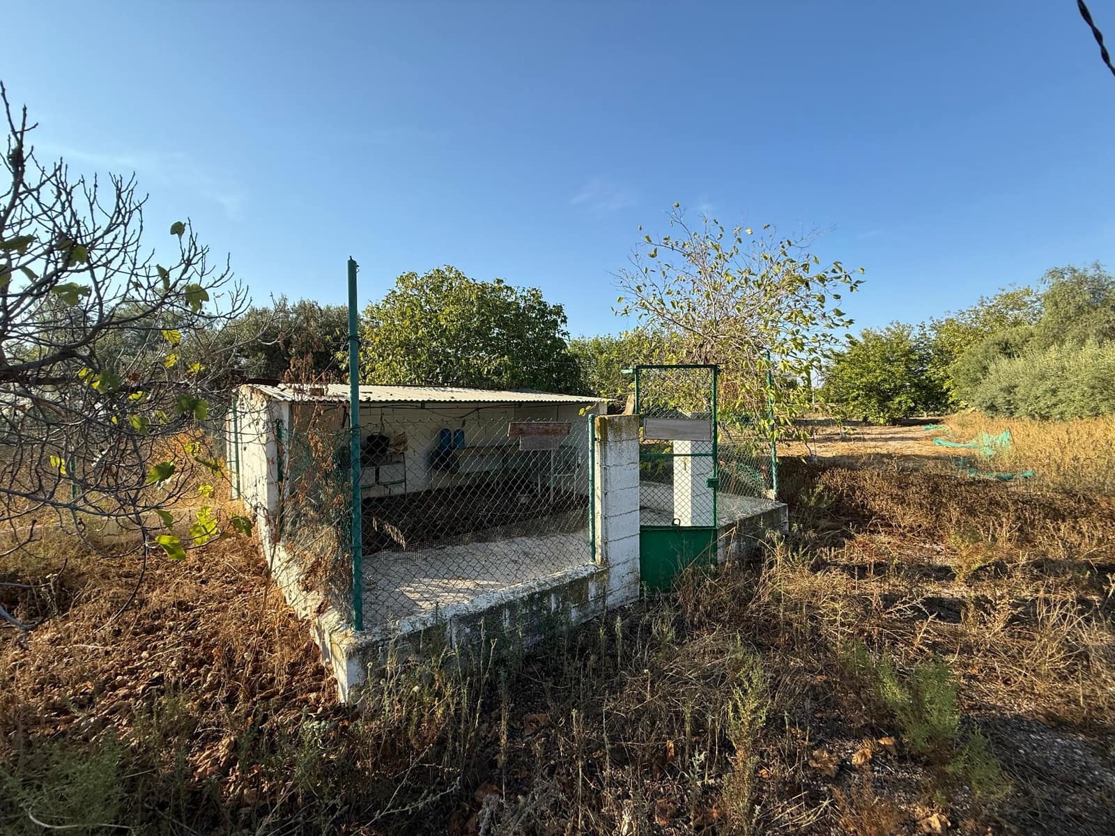 6 soverom Finca/Herregård til salgs i Murcia by med svømmebasseng - € 340 000 (Ref: 9359450)