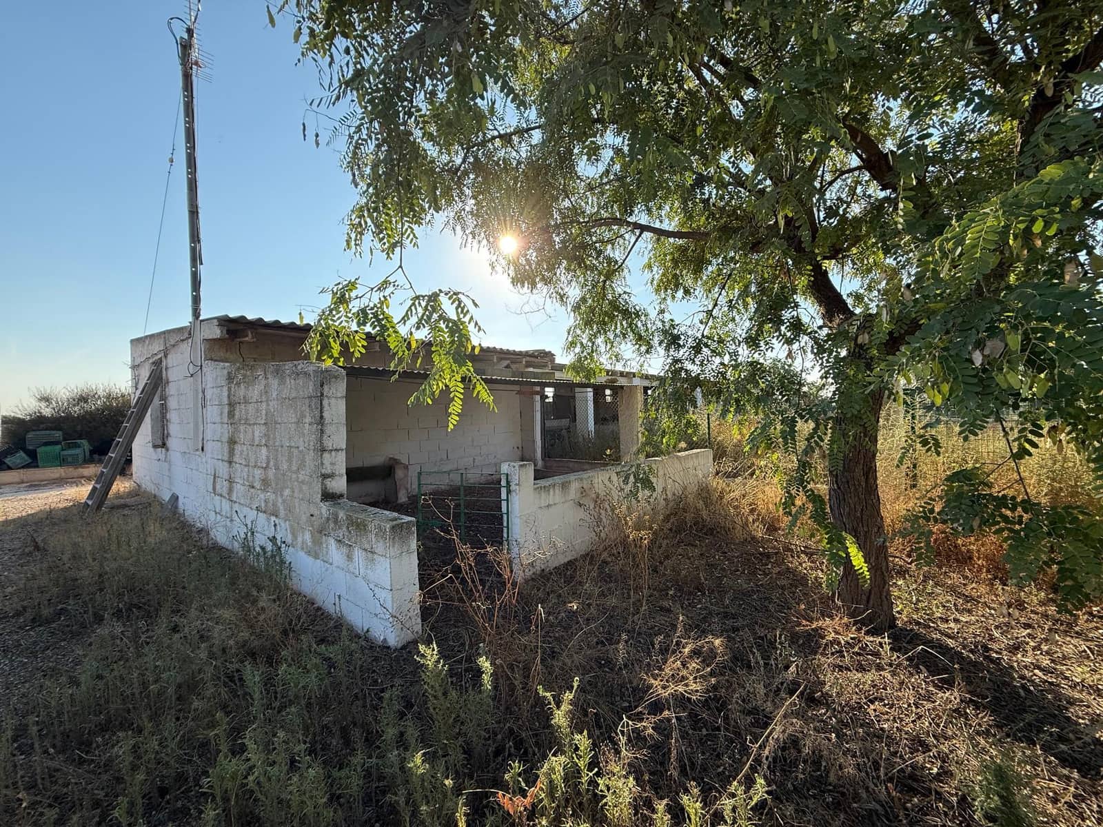 6 soverom Finca/Herregård til salgs i Murcia by med svømmebasseng - € 340 000 (Ref: 9359450)