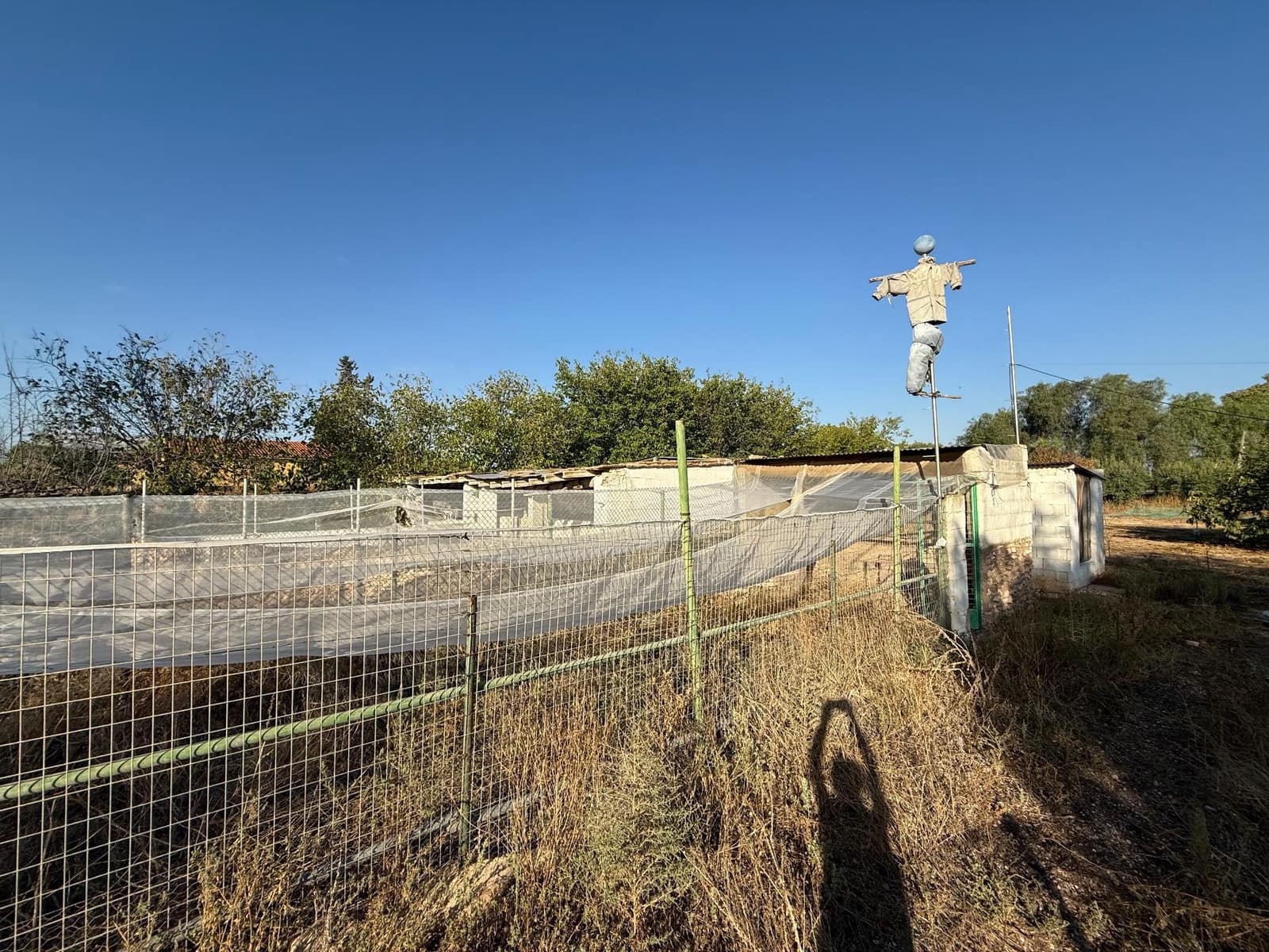 6 soverom Finca/Herregård til salgs i Murcia by med svømmebasseng - € 340 000 (Ref: 9359450)