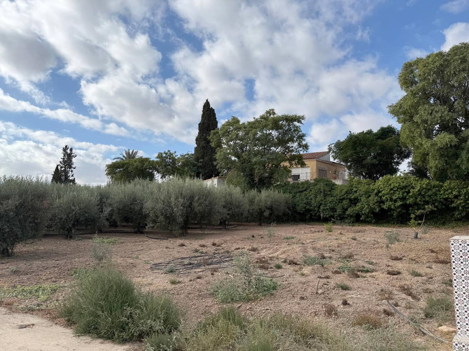 6 soverom Finca/Herregård til salgs i Murcia by med svømmebasseng - € 340 000 (Ref: 9359450)