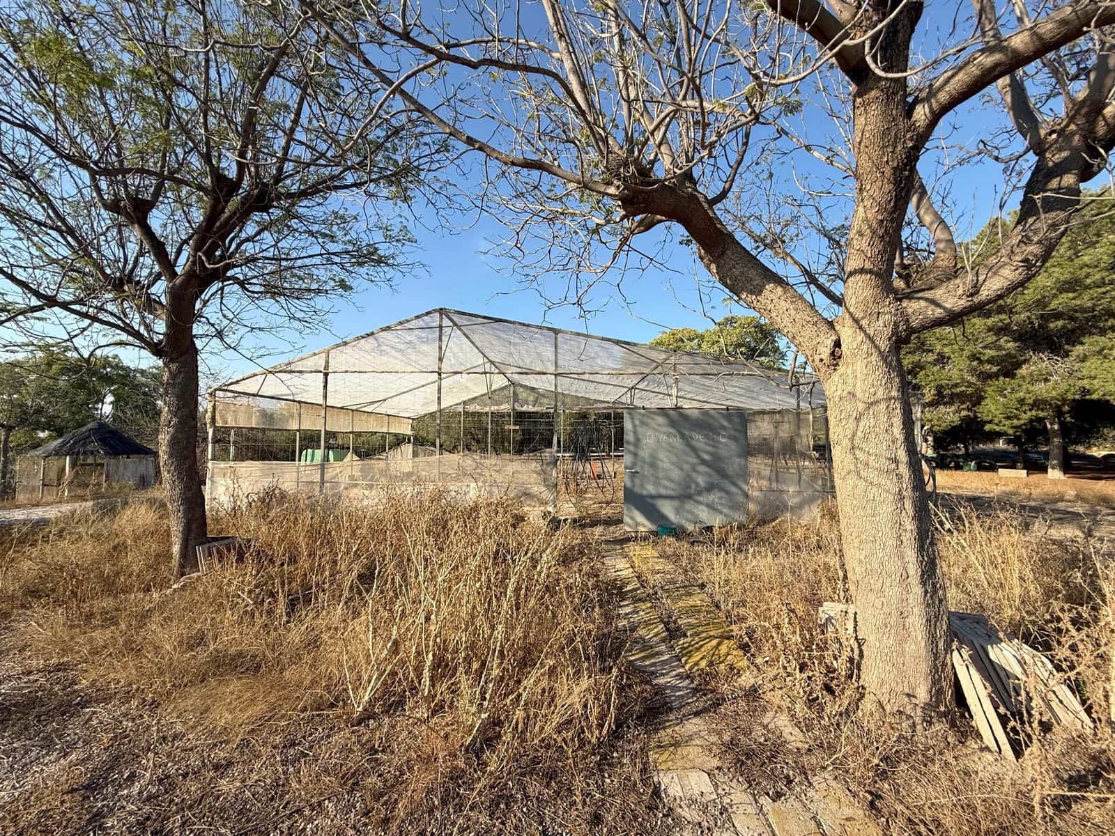 6 soverom Finca/Herregård til salgs i Murcia by med svømmebasseng - € 340 000 (Ref: 9359450)