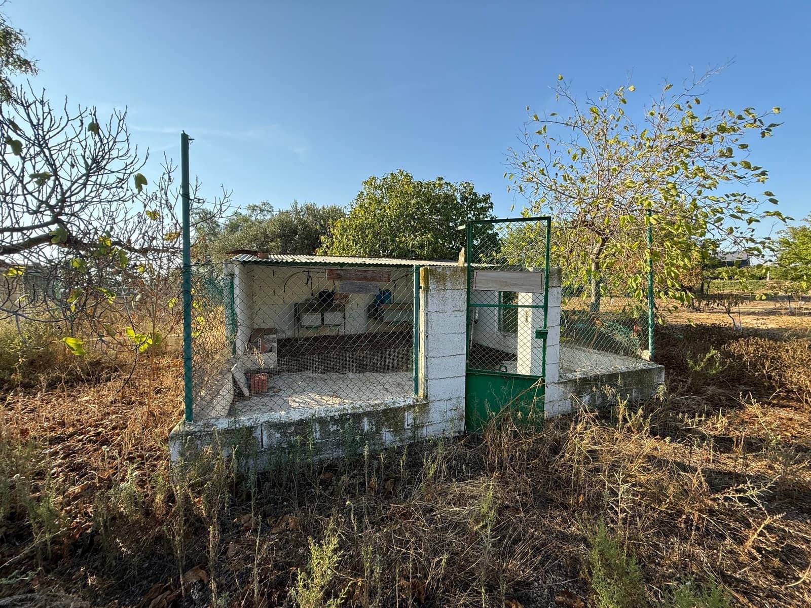 6 soverom Finca/Herregård til salgs i Murcia by med svømmebasseng - € 340 000 (Ref: 9359450)