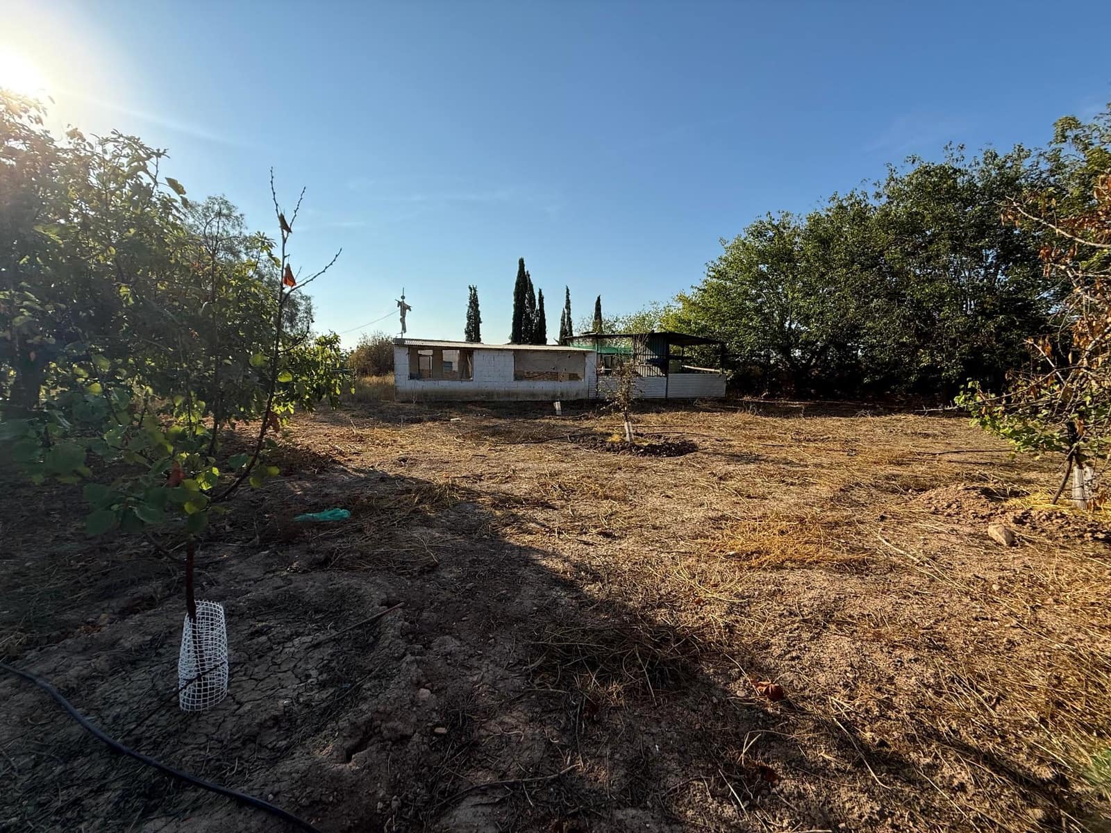 6 soverom Finca/Herregård til salgs i Murcia by med svømmebasseng - € 340 000 (Ref: 9359450)