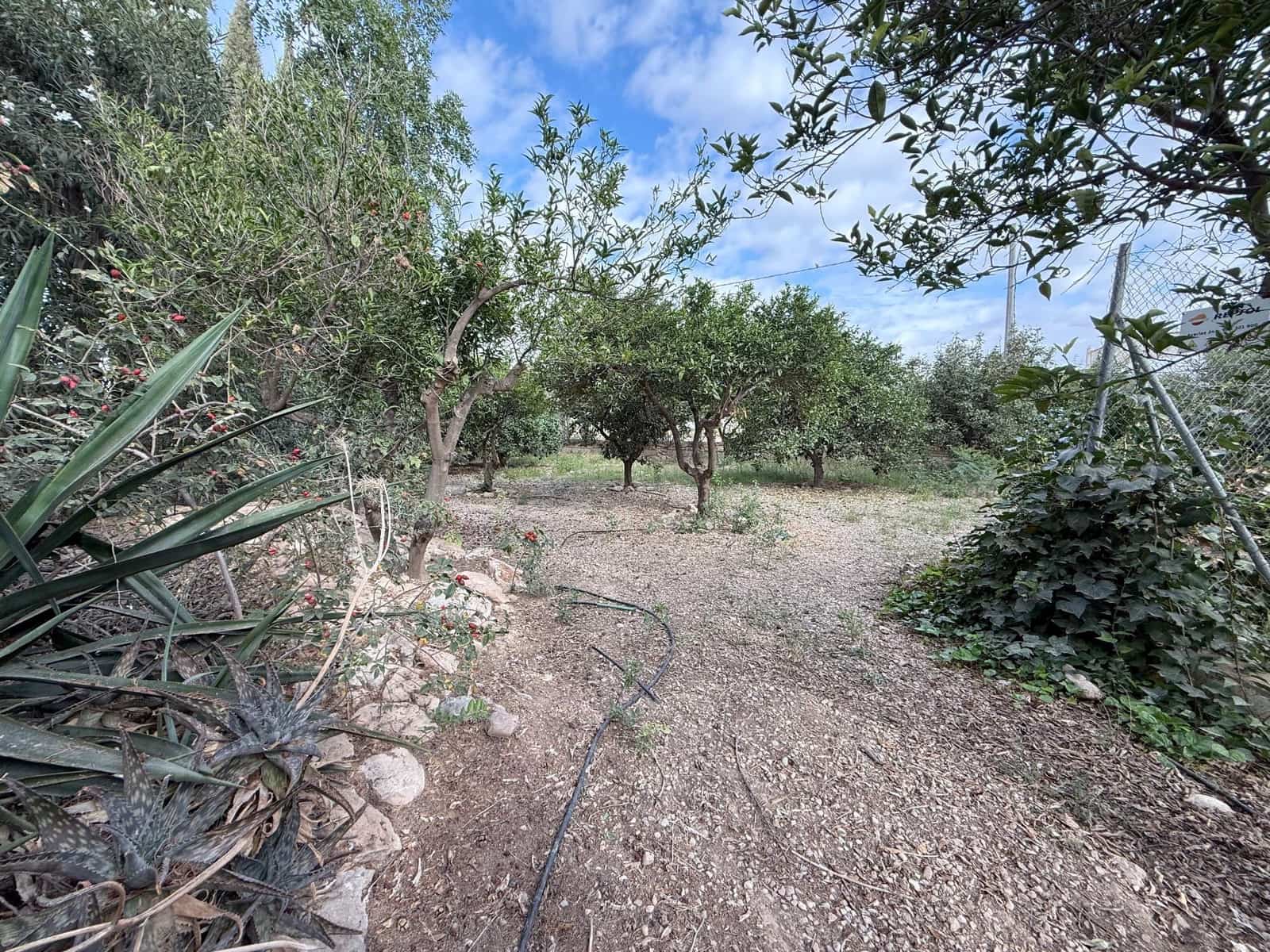 6 soverom Finca/Herregård til salgs i Murcia by med svømmebasseng - € 340 000 (Ref: 9359450)