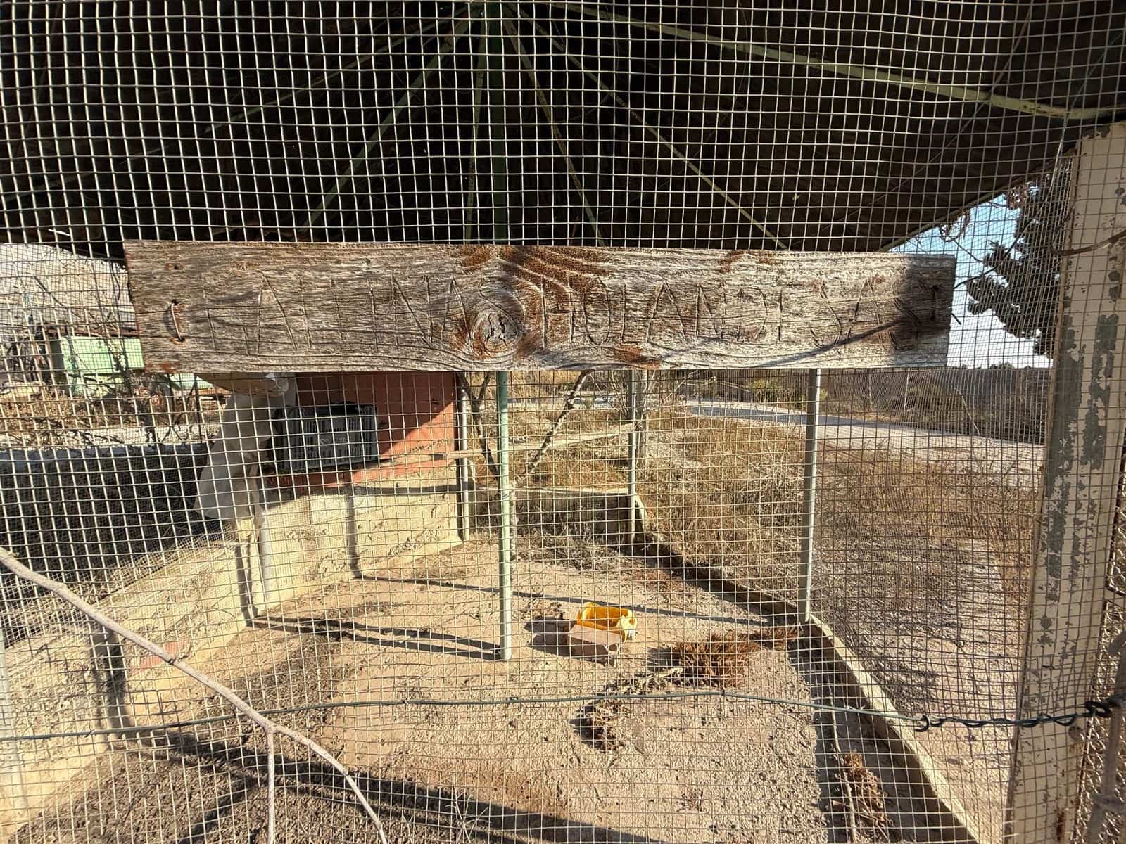 6 soverom Finca/Herregård til salgs i Murcia by med svømmebasseng - € 340 000 (Ref: 9359450)