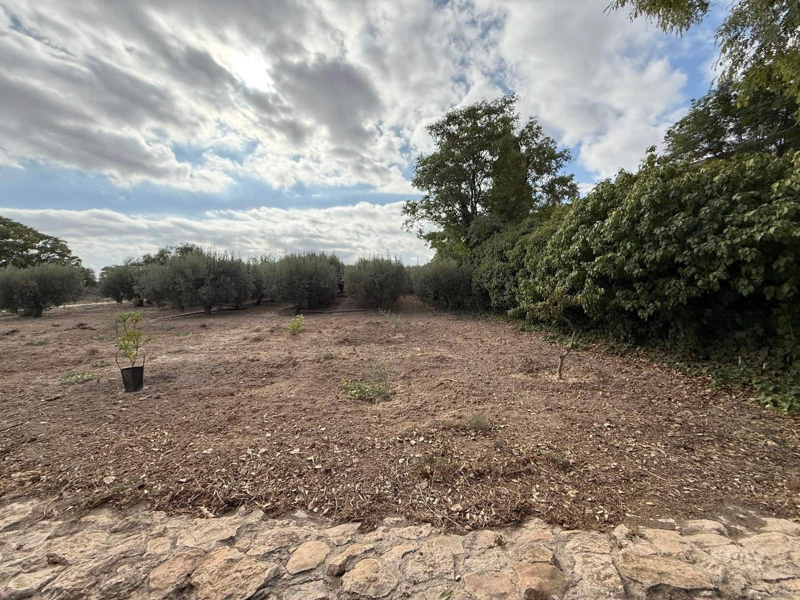 6 soverom Finca/Herregård til salgs i Murcia by med svømmebasseng - € 340 000 (Ref: 9359450)