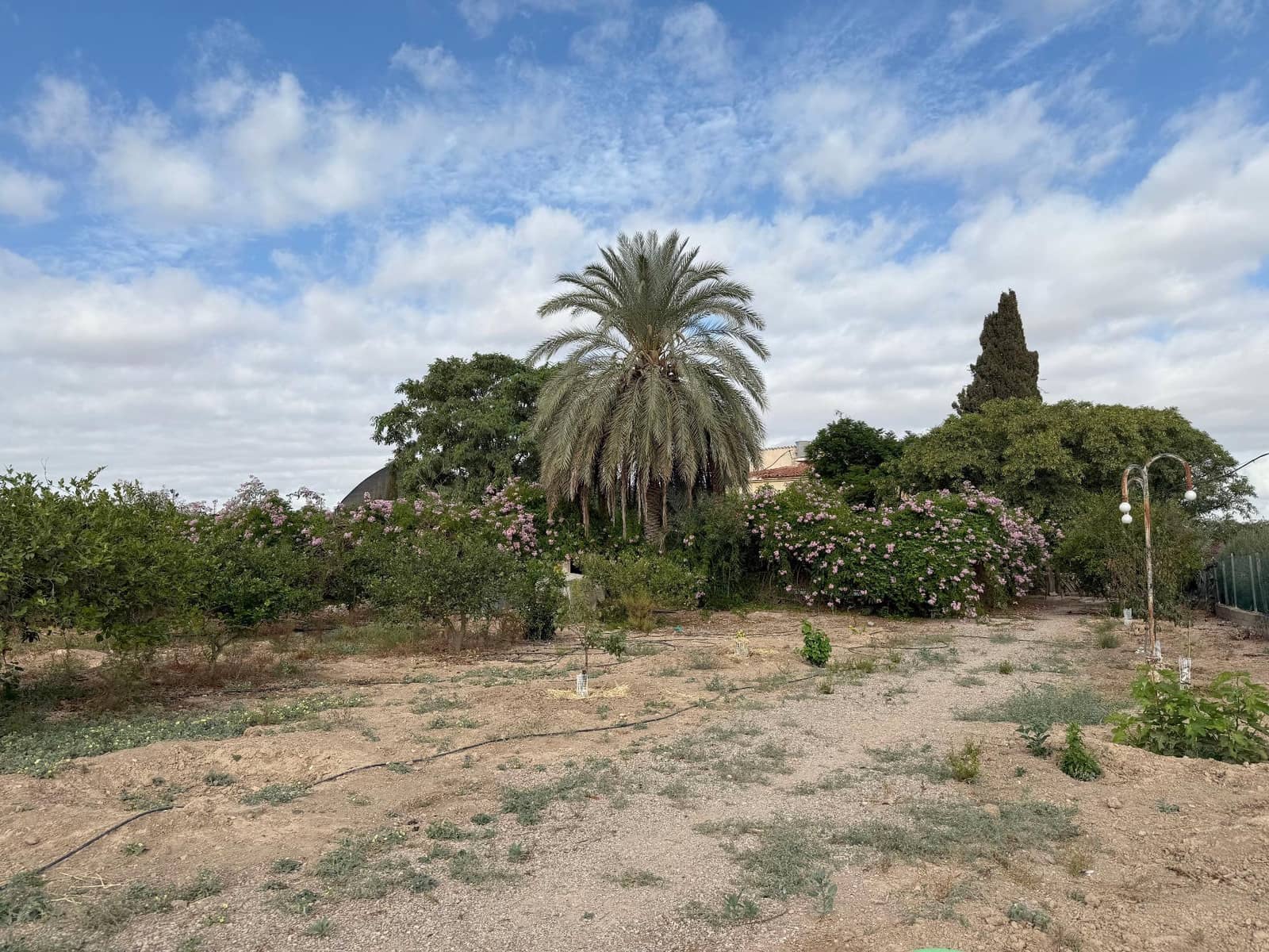 6 soverom Finca/Herregård til salgs i Murcia by med svømmebasseng - € 340 000 (Ref: 9359450)