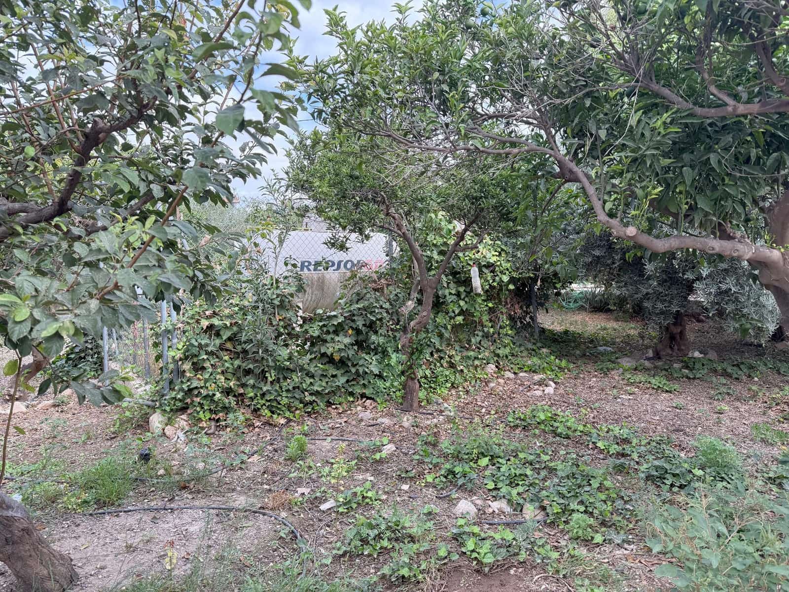 6 soverom Finca/Herregård til salgs i Murcia by med svømmebasseng - € 340 000 (Ref: 9359450)