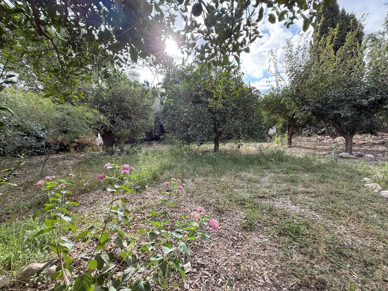 6 soverom Finca/Herregård til salgs i Murcia by med svømmebasseng - € 340 000 (Ref: 9359450)