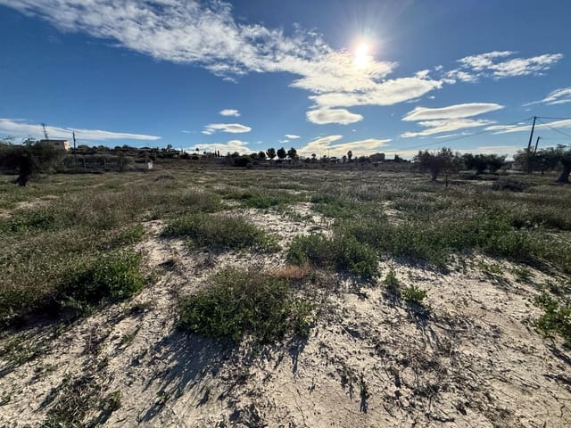 Grunde uden byggetilladelser til salg i Fortuna - € 64.000 (Ref: 9548431)