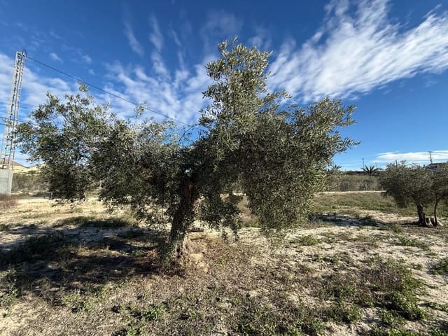 Grunde uden byggetilladelser til salg i Fortuna - € 64.000 (Ref: 9548431)