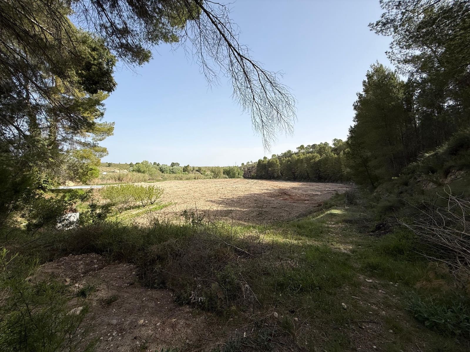 4 soverom Finca/Herregård til salgs i Calasparra med svømmebasseng - € 325 000 (Ref: 9770823)