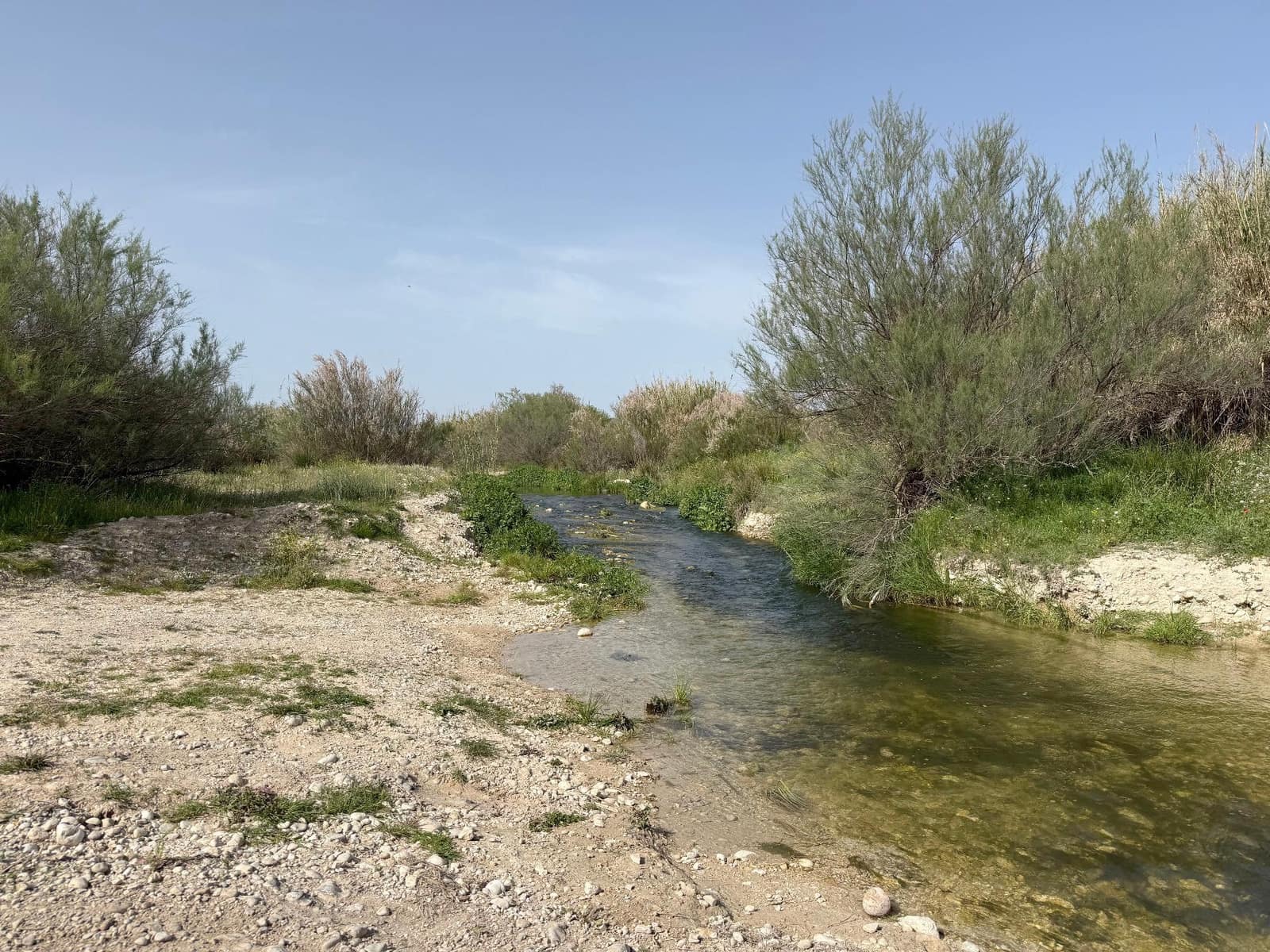 4 soverom Finca/Herregård til salgs i Calasparra med svømmebasseng - € 325 000 (Ref: 9770823)