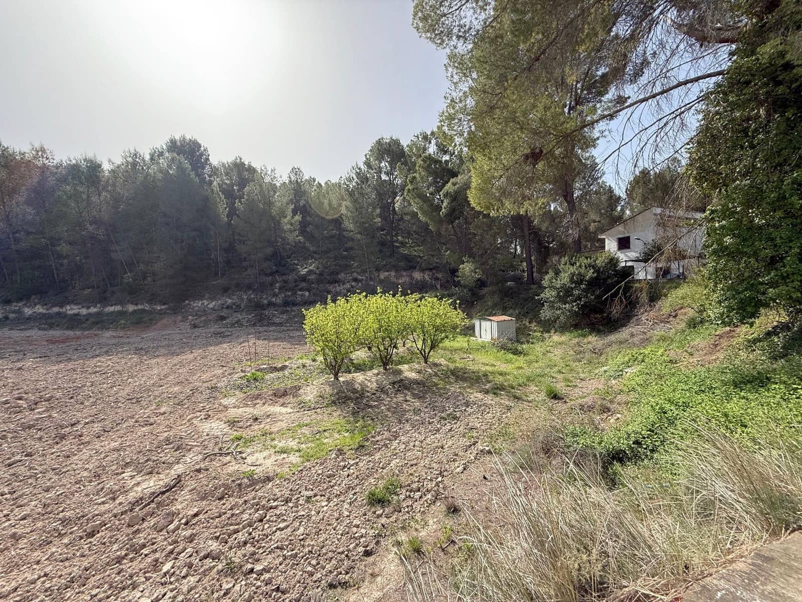 4 soverom Finca/Herregård til salgs i Calasparra med svømmebasseng - € 325 000 (Ref: 9770823)