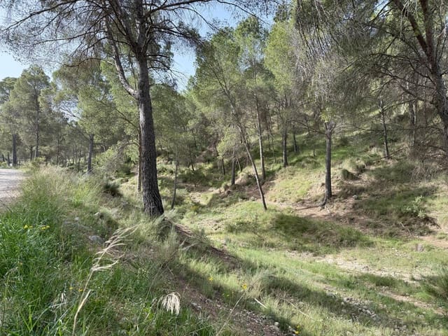 4 soverom Finca/Herregård til salgs i Calasparra med svømmebasseng - € 325 000 (Ref: 9770823)