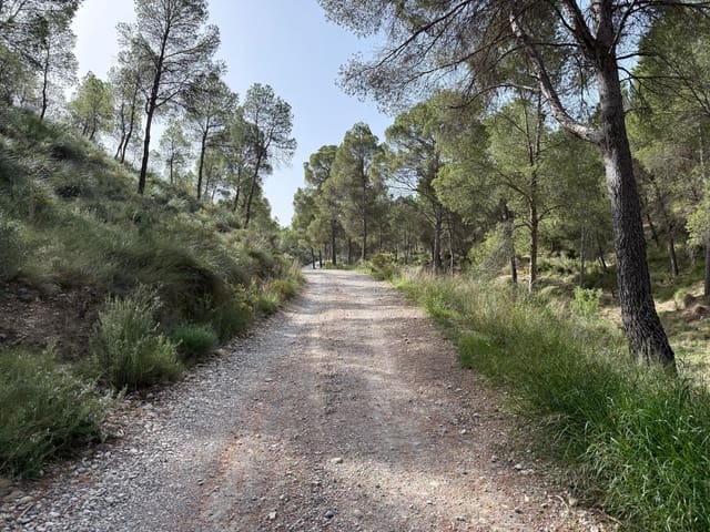 4 soveværelse Finca/Landehus til salg i Calasparra med swimmingpool - € 325.000 (Ref: 9770823)