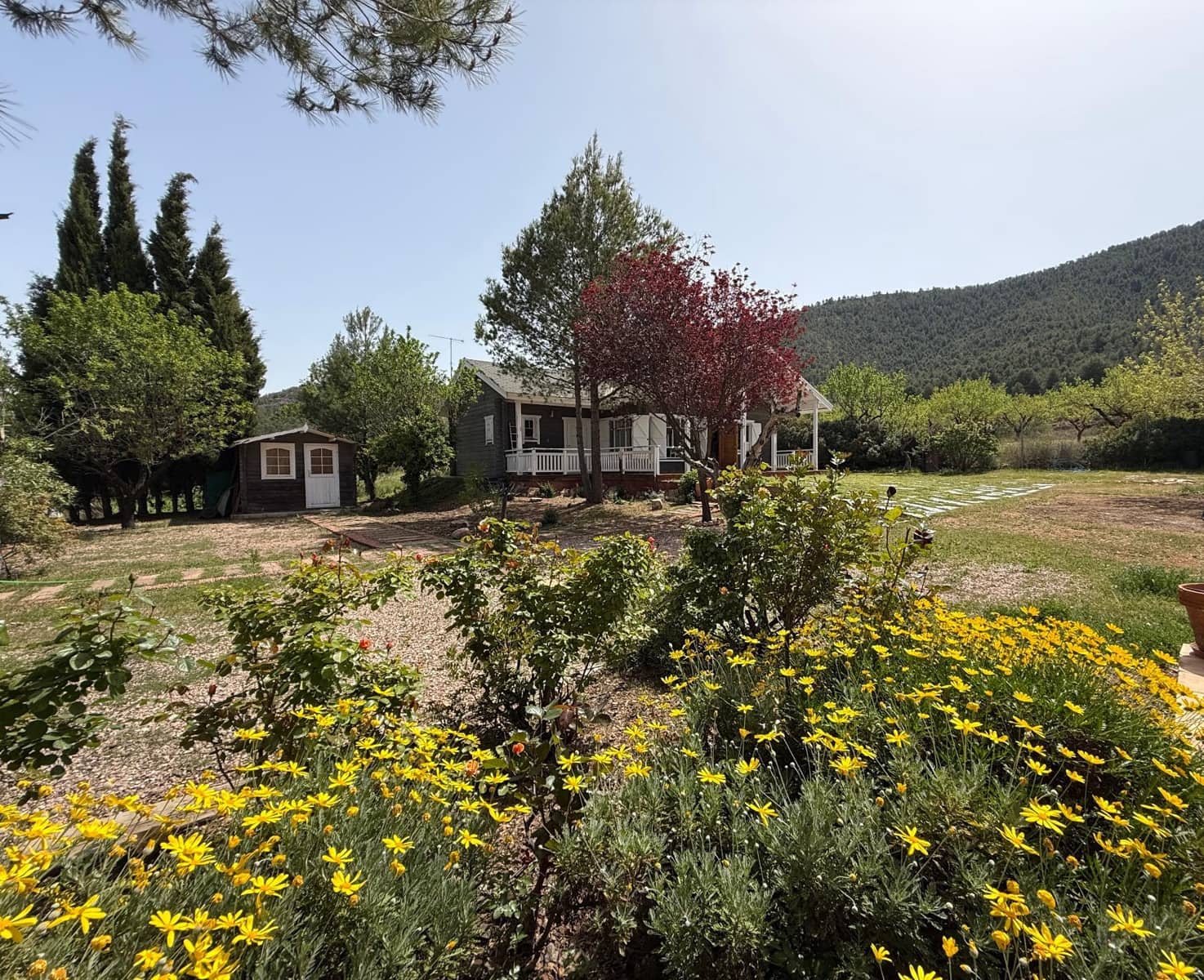 3 sypialnia Finka/Dom wiejski na sprzedaż w Bullas z basenem - 208 000 € (Ref: 9770824)