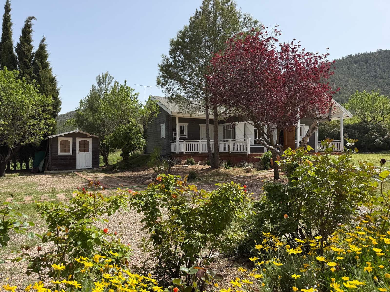 3 sypialnia Finka/Dom wiejski na sprzedaż w Bullas z basenem - 208 000 € (Ref: 9770824)