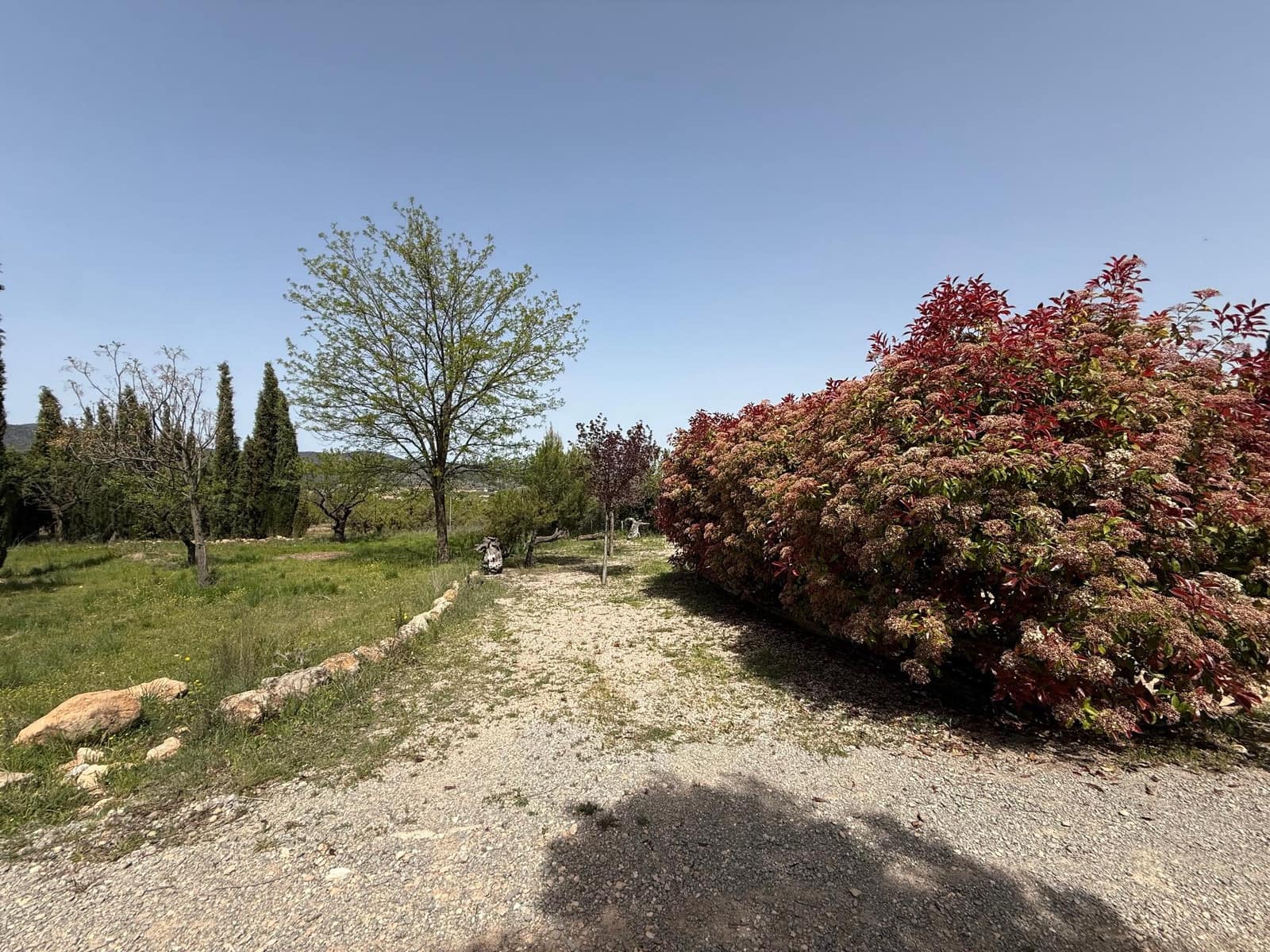 3 sypialnia Finka/Dom wiejski na sprzedaż w Bullas z basenem - 208 000 € (Ref: 9770824)