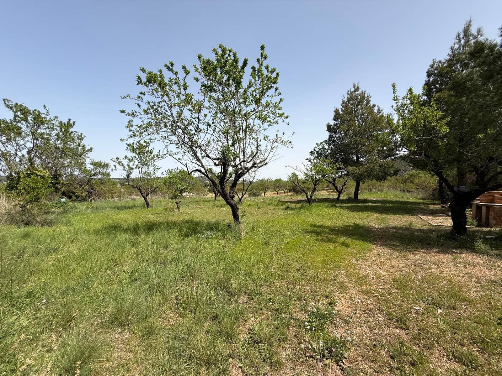 3 sypialnia Finka/Dom wiejski na sprzedaż w Bullas z basenem - 208 000 € (Ref: 9770824)