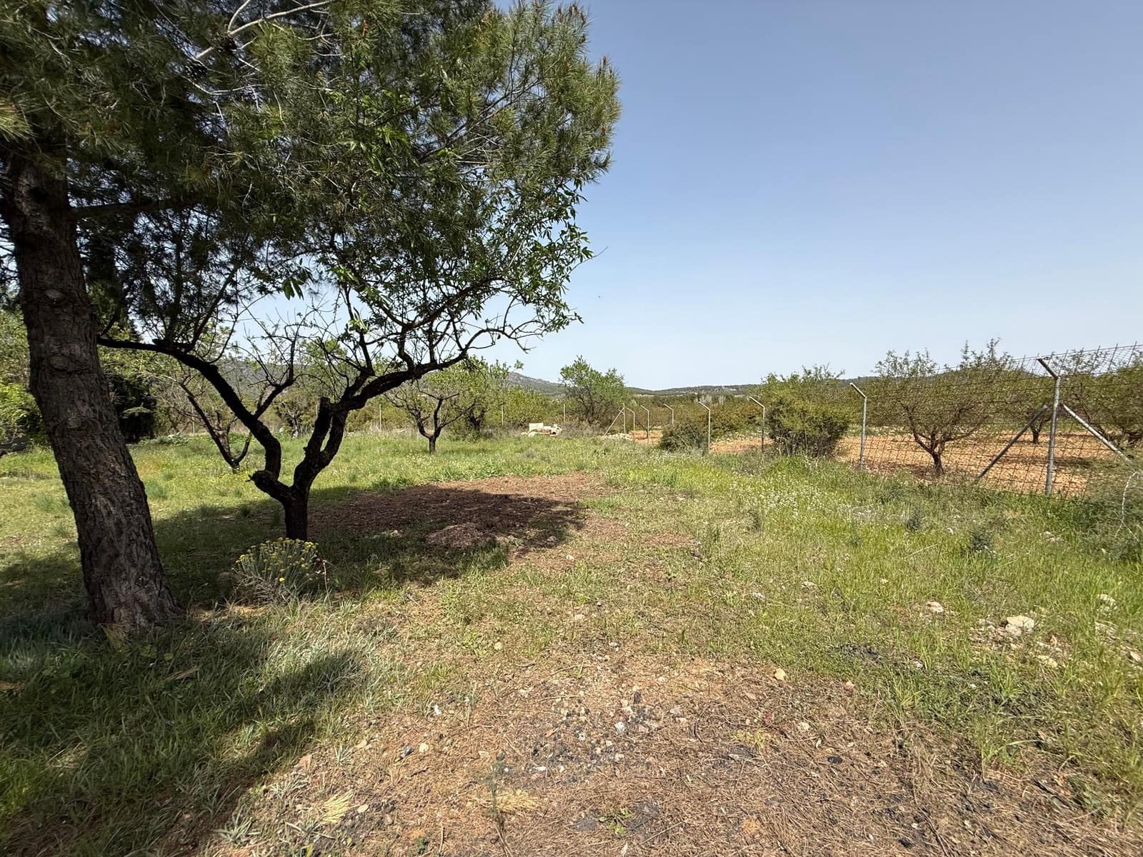 3 sypialnia Finka/Dom wiejski na sprzedaż w Bullas z basenem - 208 000 € (Ref: 9770824)