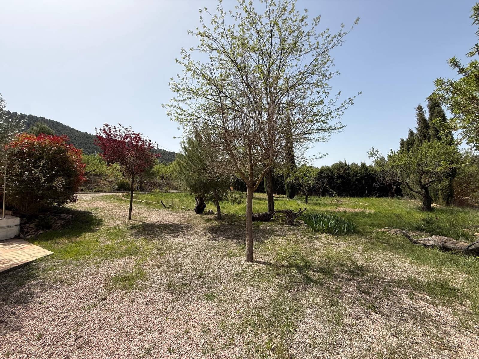 3 sypialnia Finka/Dom wiejski na sprzedaż w Bullas z basenem - 208 000 € (Ref: 9770824)