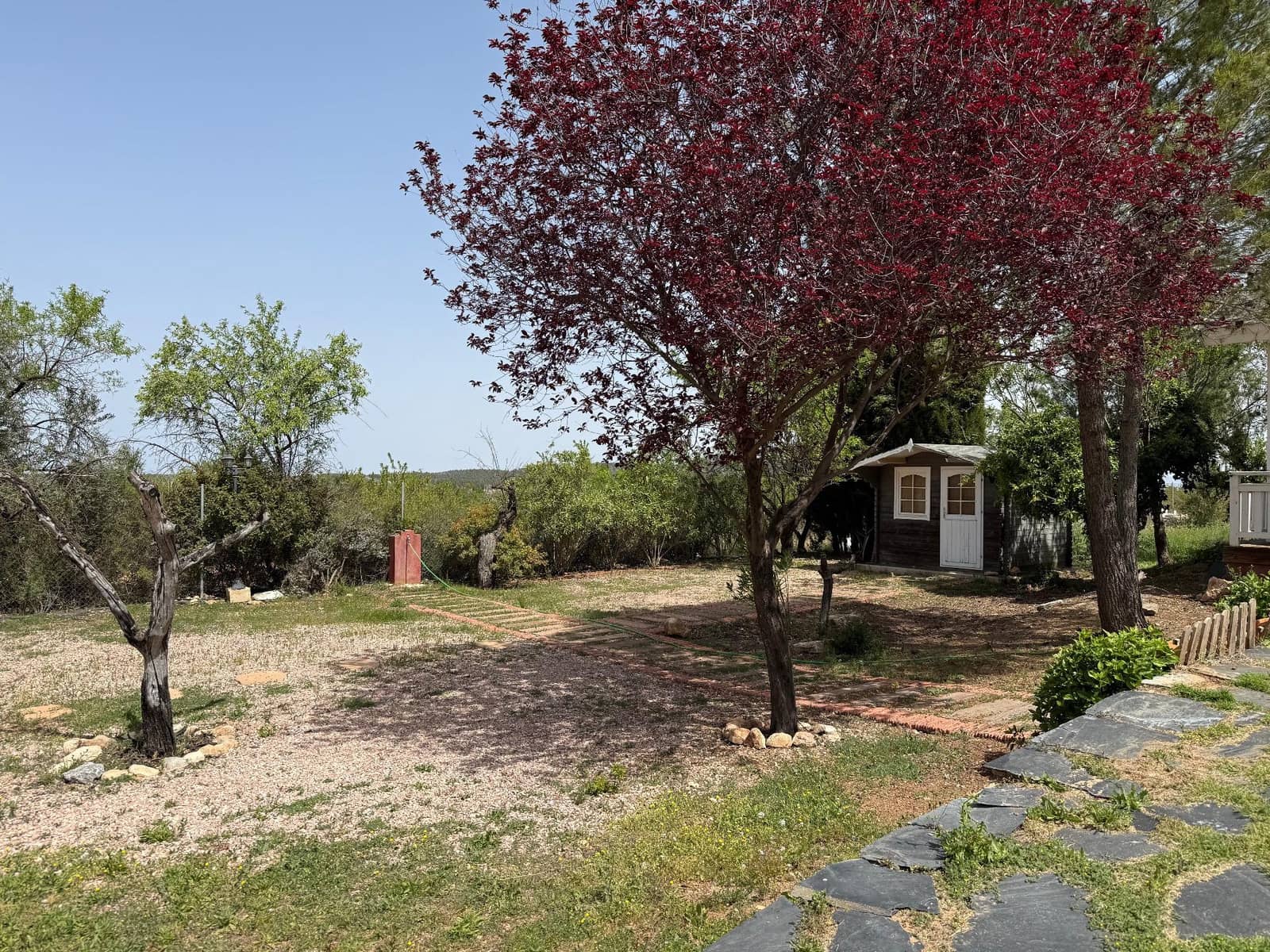 3 sypialnia Finka/Dom wiejski na sprzedaż w Bullas z basenem - 208 000 € (Ref: 9770824)