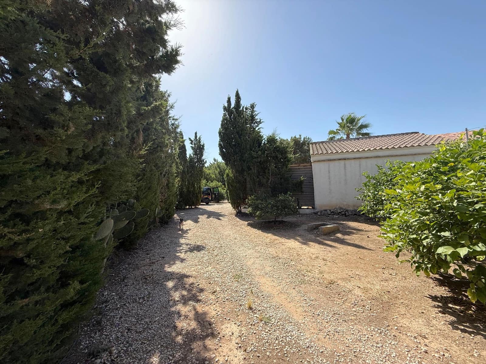 4 bedroom Finca/Country House for rent in San Javier with pool garage - € 1,000 (Ref: 9936554)