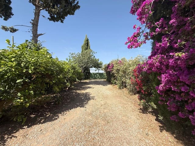 4 bedroom Finca/Country House for rent in San Javier with pool garage - € 1,000 (Ref: 9936554)