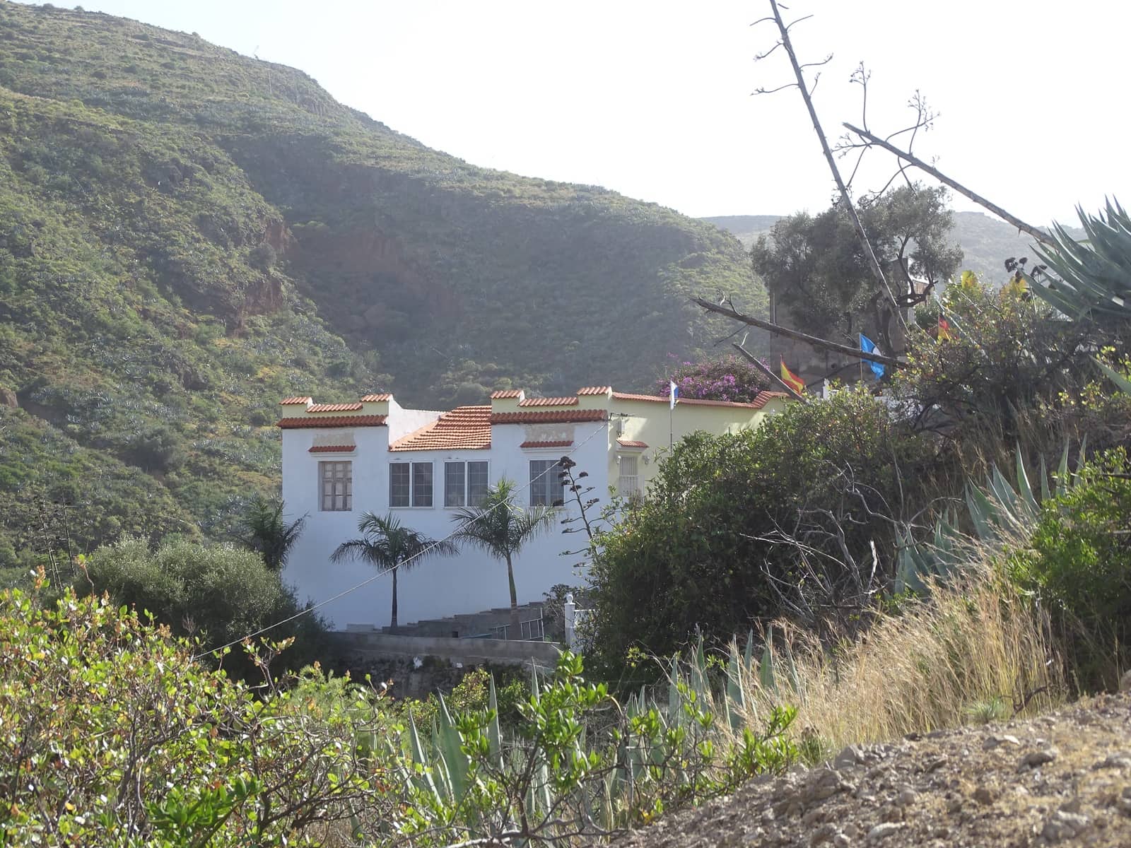 Finca/Casa Rural de 6 habitaciones en Telde en venta - 595.000 € (Ref: 10073249)