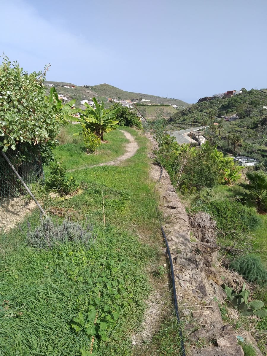 Finca/Casa Rural de 6 habitaciones en Telde en venta - 595.000 € (Ref: 10073249)