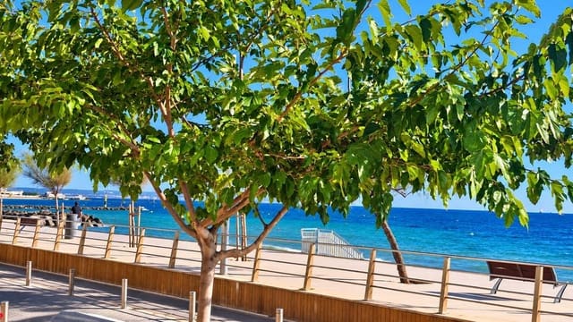 2 slaapkamer Appartement te koop in Es Molinar / El Molinar, Palma de Mallorca met garage - € 710.000 (Ref: 10153942)