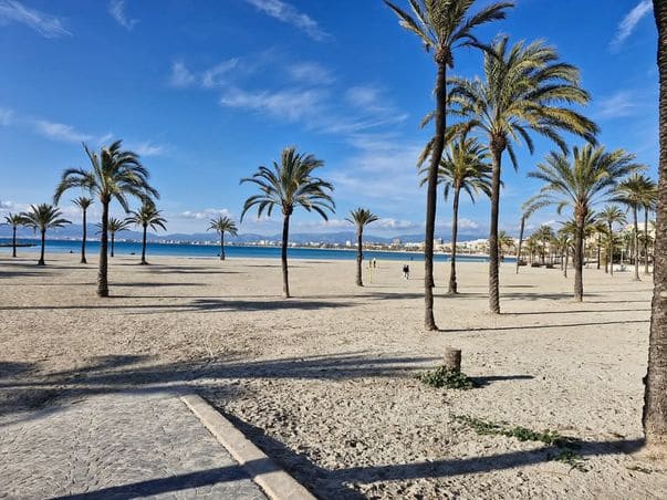 3 soveværelse Lejlighed til salg i Playa de Palma - € 595.000 (Ref: 8848137)