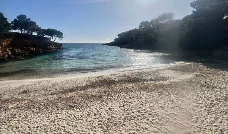 3 sypialnia Dom blizniak na sprzedaż w Bendinat z basenem garażem - 895 000 € (Ref: 9143701)